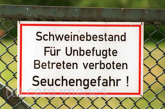 00J025101CARO.JPG