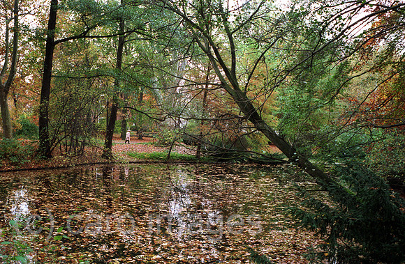 00J030305CARO.JPG
