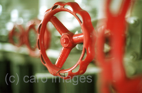 00J019228CARO.JPG
