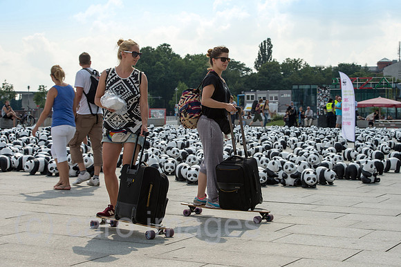 00Y130805D016CAROE.JPG