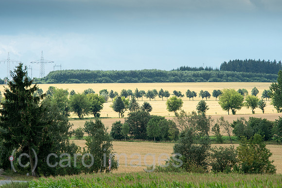 00Y120729D005CAROE.JPG