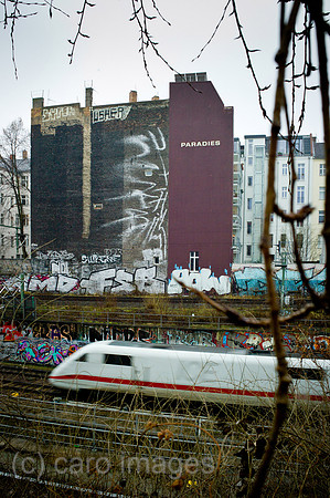 00Y111226D066CAROE.JPG