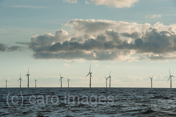 00Y130929D036CAROE.JPG