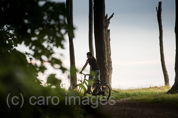 00Y130729D128CAROE.JPG