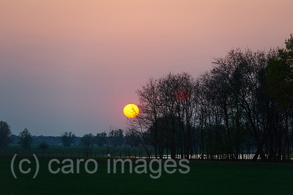 00Y140419D006CAROE.JPG