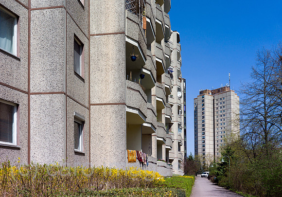 00Y130424D001CAROE.JPG