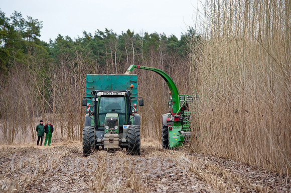 00Y120314D064CAROE.JPG