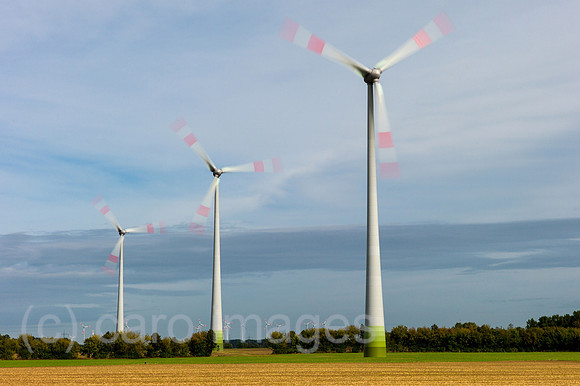 00Y120925D007CAROE.JPG