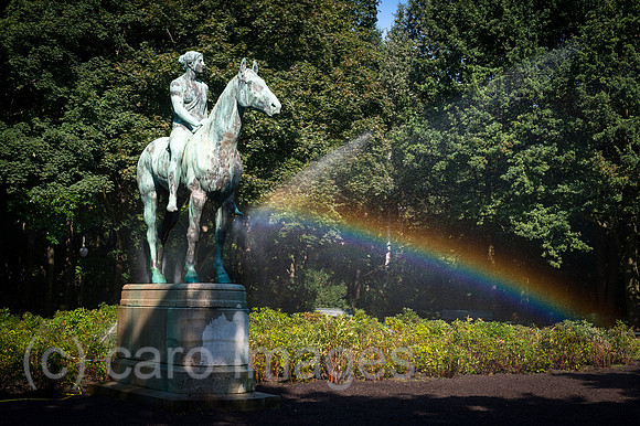 00Y120903D013CAROE.JPG