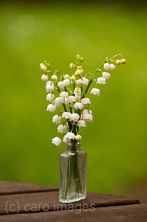 00Y130511D014CAROE.JPG