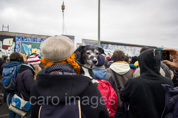 00Y130301D029CAROE.JPG
