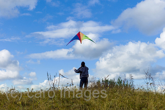 00Y121014D006CAROE.JPG