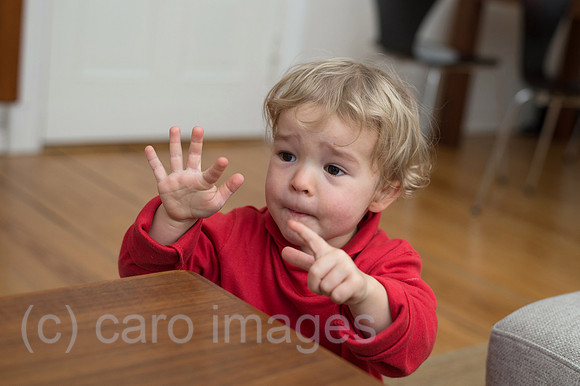 00Y131110D003CAROE.JPG