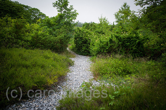 00Y120705D010CAROE.JPG