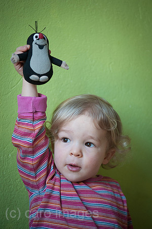 00Y140227D034CAROE.JPG