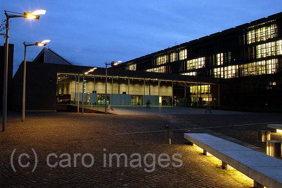 D088212CARO.JPG