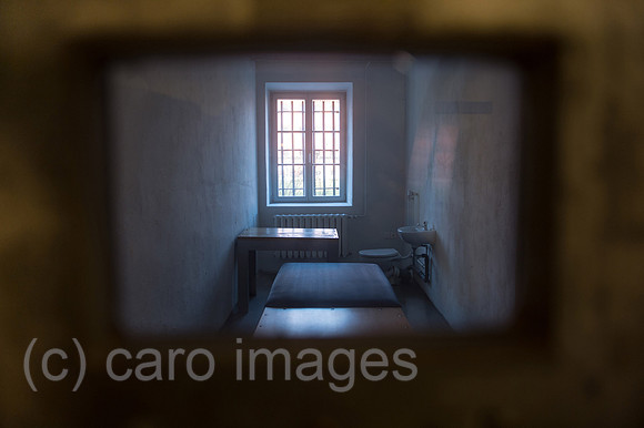 00Y121115D022CAROE.JPG