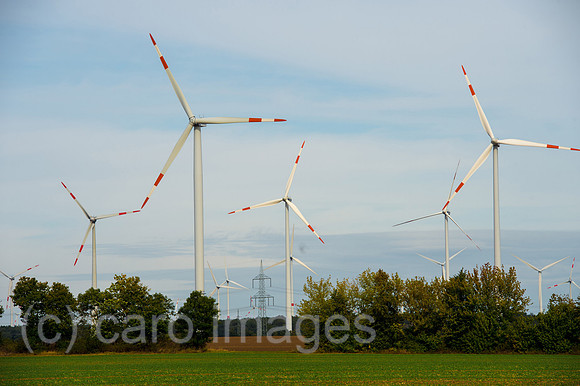 00Y120925D005CAROE.JPG
