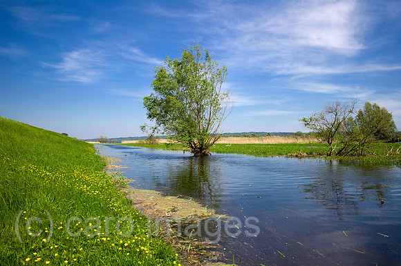 00Y130516D019CAROE.JPG