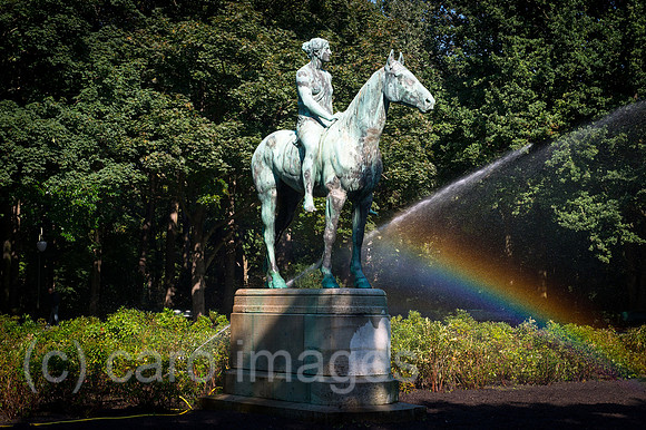 00Y120903D012CAROE.JPG