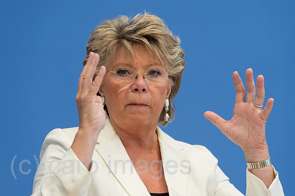00Y130906D011CAROE.JPG