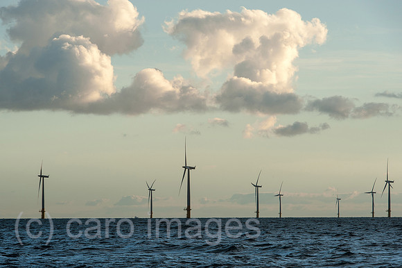 00Y130929D038CAROE.JPG