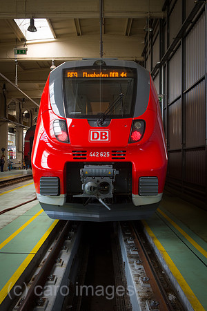 00Y120508D016CAROE.JPG