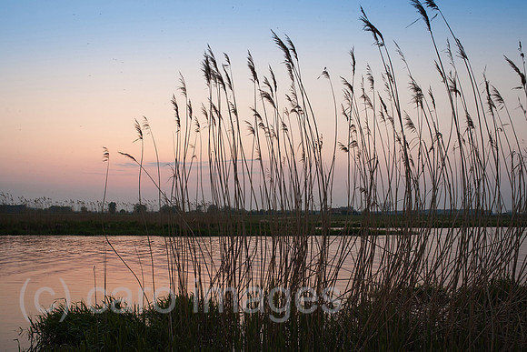 00Y140419D028CAROE.JPG
