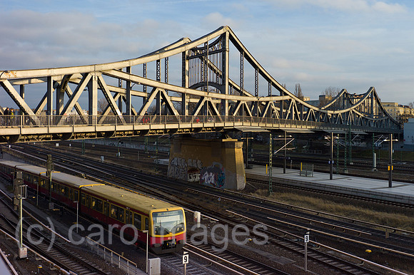 00Y111228D071CAROE.JPG