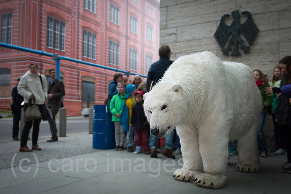 00Y140410D003CAROE.JPG