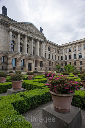 00Y120511D002CAROE.JPG