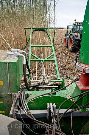 00Y120314D085CAROE.JPG