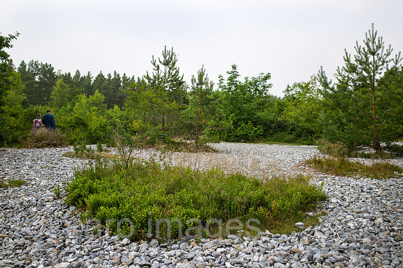 00Y120705D005CAROE.JPG