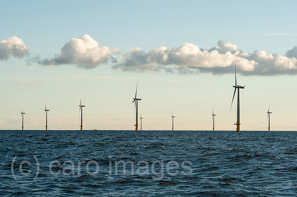 00Y130929D008CAROE.JPG