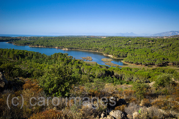 00Y130703D007CAROE.JPG