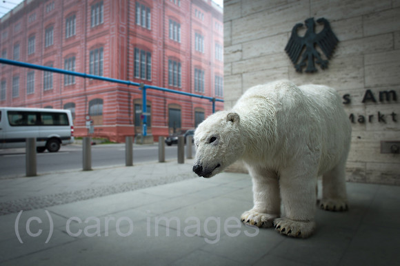 00Y140410D007CAROE.JPG