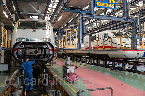 00Y121114D024CAROE.JPG