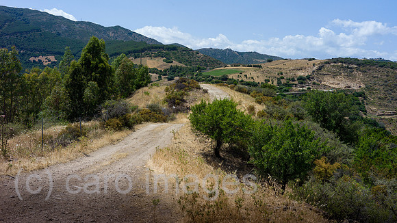 00Y130624D067CAROE.JPG