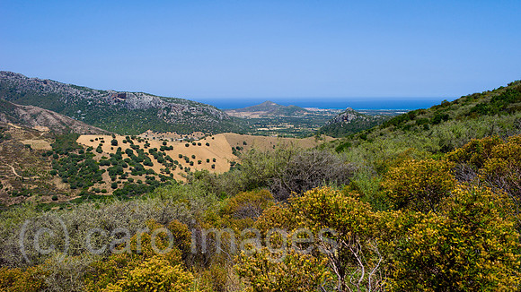 00Y130624D065CAROE.JPG