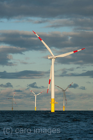 00Y130929D034CAROE.JPG