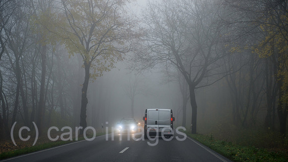 00Y131121D005CAROE.JPG