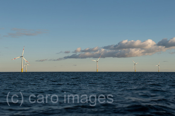 00Y130929D014CAROE.JPG