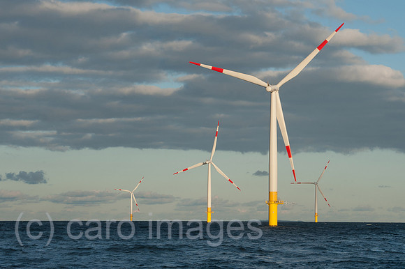 00Y130929D032CAROE.JPG