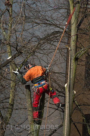 00Y130403D003CAROE.JPG