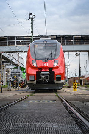 00Y120508D006CAROE.JPG