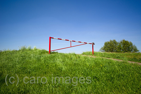 00Y130516D005CAROE.JPG