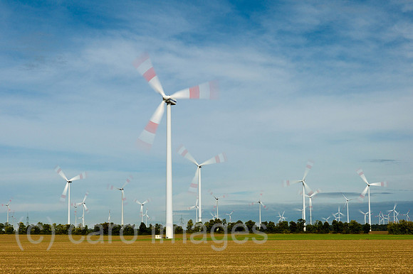 00Y120925D002CAROE.JPG