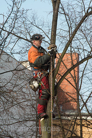 00Y130403D008CAROE.JPG