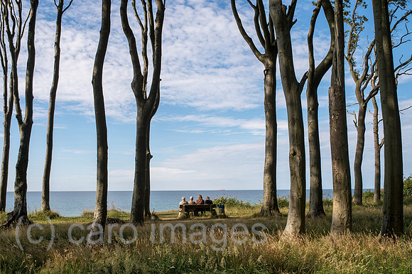 00Y130729D020CAROE.JPG
