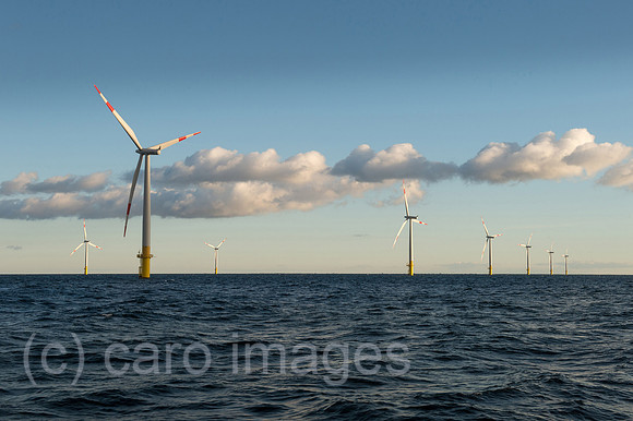 00Y130929D025CAROE.JPG